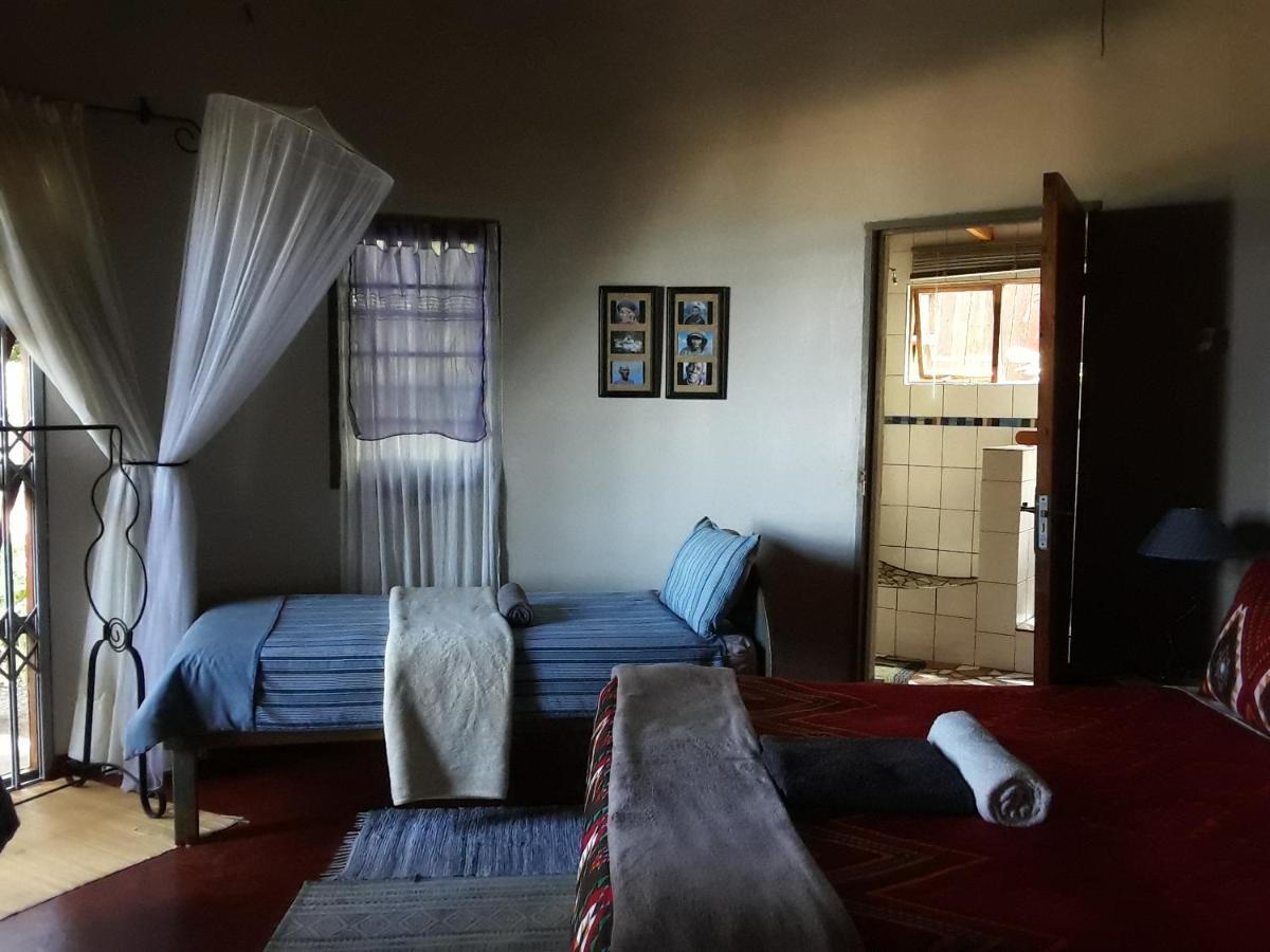 Delicious Monster Accommodation Port Saint Johnʼs المظهر الخارجي الصورة