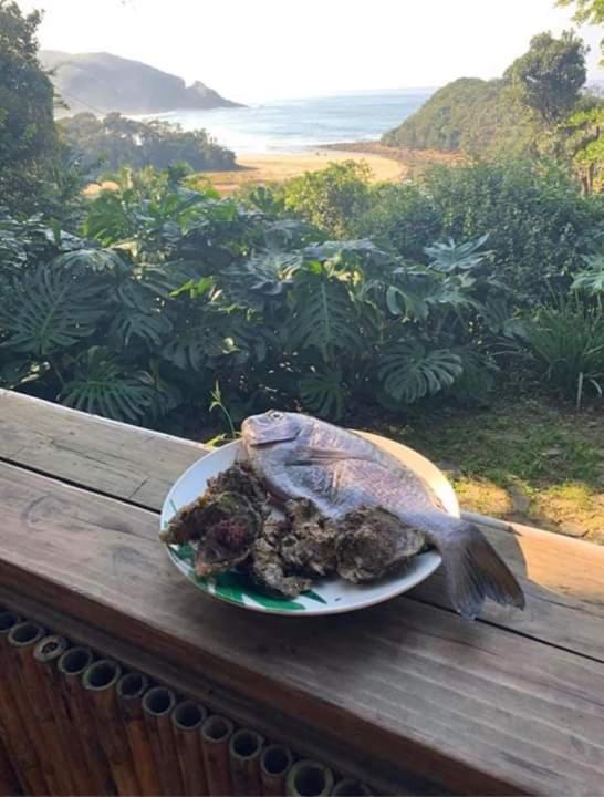 Delicious Monster Accommodation Port Saint Johnʼs المظهر الخارجي الصورة