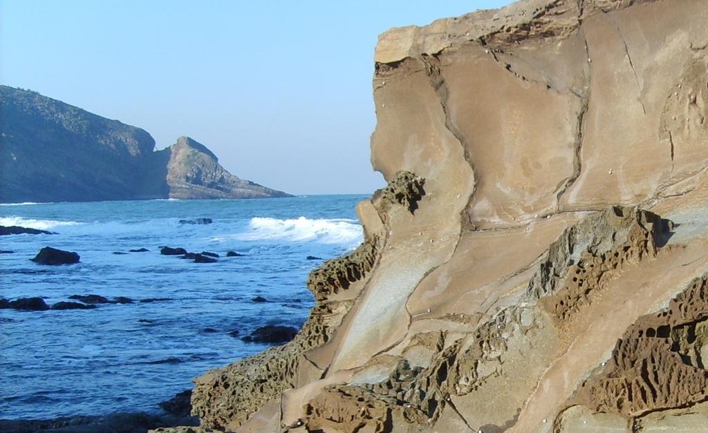 Delicious Monster Accommodation Port Saint Johnʼs المظهر الخارجي الصورة