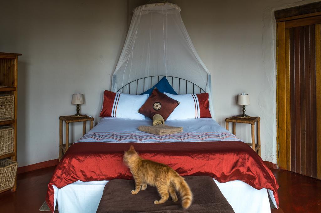 Delicious Monster Accommodation Port Saint Johnʼs المظهر الخارجي الصورة